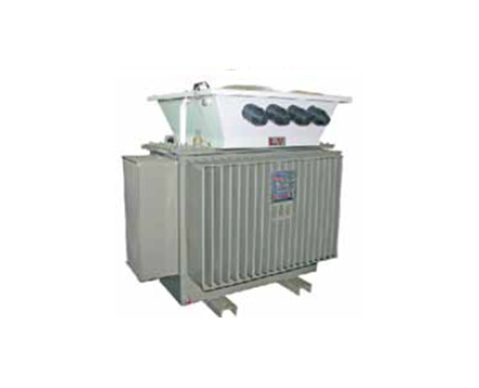 Special Type Transformers