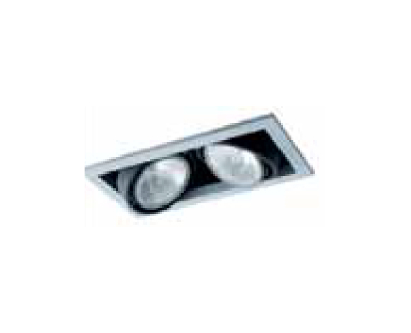 Recessed Mounted Par 30 Halogen Spots